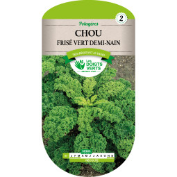 Chou Frise Vert Demi Nain - Les Doigts Verts