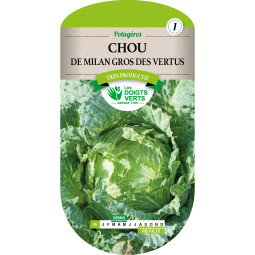 Chou Milan Gros Des Vertus - Les Doigts Verts