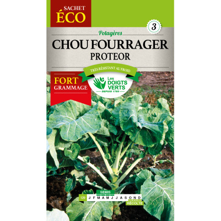 sachet eco Chou Fourrager Proteor Eco - Les Doigts Verts