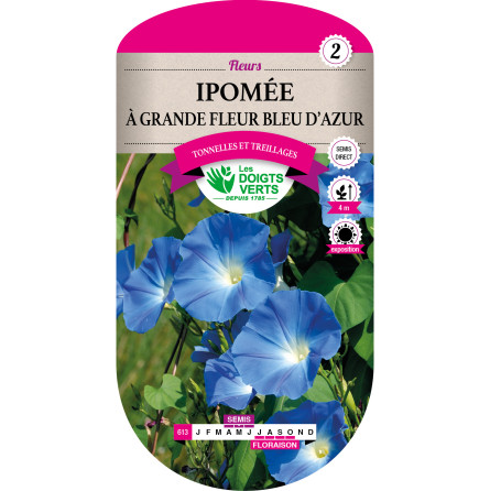 Sachet de graines Ipomée Grande Fleur Bleu Azur, les Doigts verts