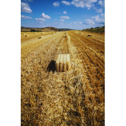 Botte de paille L 70cm x H 35cm x P 50cm