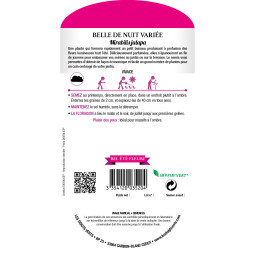 Sachet de graines Belle de nuit variée - Les Doigts Verts