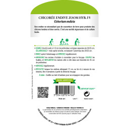 Sachet de graines Chicorée Endive Zoom Hyb.F1 - Les Doigts Verts