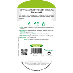 Sachet de graines Chicorée scarole en cornet bordeaux - Les Doigts Verts