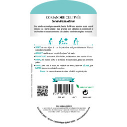 Sachet de graines coriandre cultivée - Les Doigts Verts