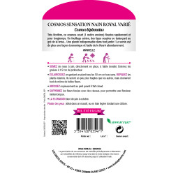 Semis Cosmos sensation nain royal varié - Les Doigts Verts