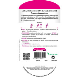 Sachet de graines cosmos sensation rouge intense - Les doigts verts