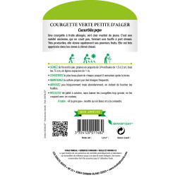 Sachet de graines Courgette verte petite d'Alger - Les Doigts Verts