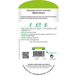 Sachet de graines Épinard géant d'hiver - Les Doigts Verts