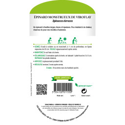 Sachet de graines Épinard monstrueux de Viroflay - Les Doigts Verts