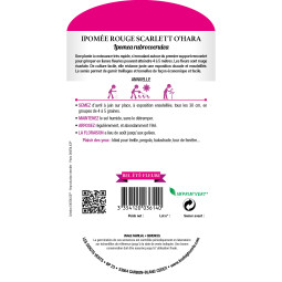 Sachet de graines Ipomée rouge Scarlett O'hara - Les Doigts Verts