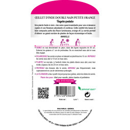 Semis Oeillet d'Inde double nain orange - Les Doigts Verts