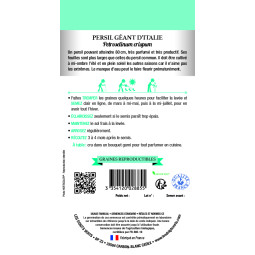 Sachet de graines Persil géant d'Italie - Les Doigts Verts