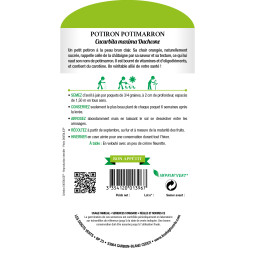 Sachet de graines Potiron Potimarron - Les Doigts Verts