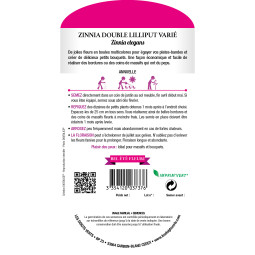 Semis Zinnia double lilliput varié - Les Doigts Verts