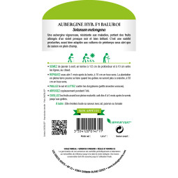 Aubergine Baluroi Hyb. F1 - Les Doigts Verts