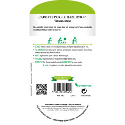 Carotte purple haze Hyb.F1 - Les Doigts Verts