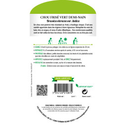 Chou Frise Vert Demi Nain - Les Doigts Verts