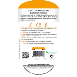 Tomate green zebra - Les Doigts Verts