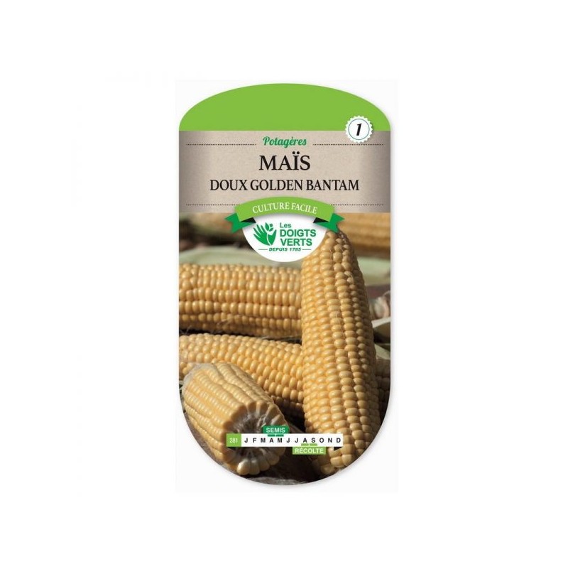 Sachet de graines Maïs doux golden Bantam - Les Doigts Verts
