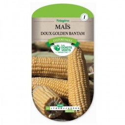 Sachet de graines Maïs doux golden Bantam - Les Doigts Verts