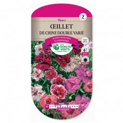 Semis œillet de chine double varié - Les Doigts Verts