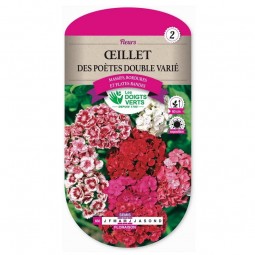 Semis Œillet des poètes double varié - Les Doigts Verts