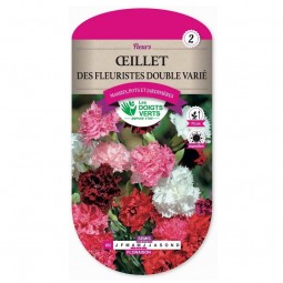 Semis Œillet fleuristes double varié - Les Doigts Verts