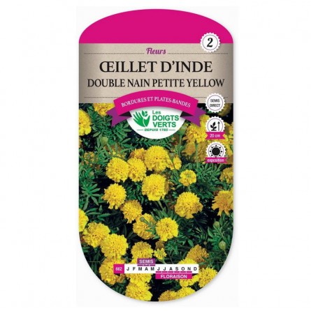 Semis Oeillet d'Inde double nain petite yellow - Les Doigts Verts