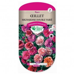 Semis Oeillet mignardise double varié - Les Doigts Verts