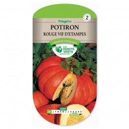 Sachet de graines Potiron rouge vif D'Etampes - Les Doigts Verts