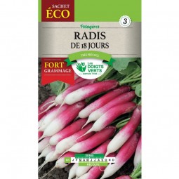 Sachet de graines Radis de18 Jours Format éco - Les Doigts Verts