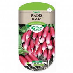 Sachet de graines Radis Flambo - Les Doigts Verts