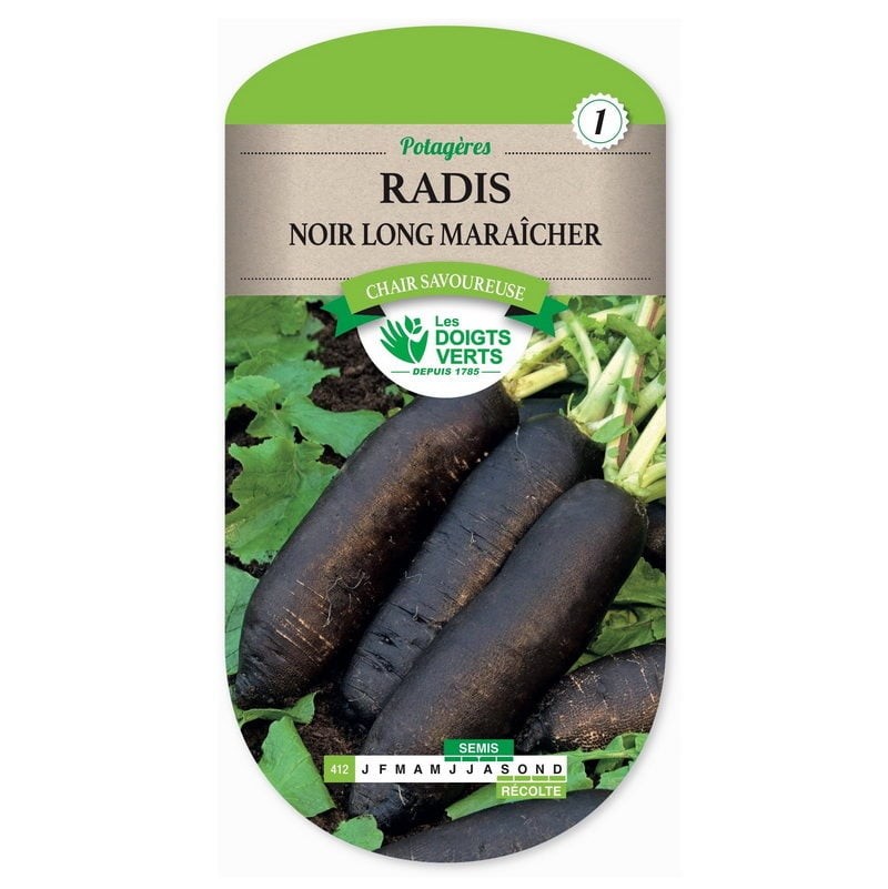 Sachet de graines Radis noir long maraîcher - Les Doigts Verts