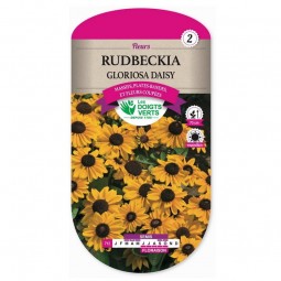 Sachet de graines Rudbeckia Gloriosa Daisy - Les Doigts Verts