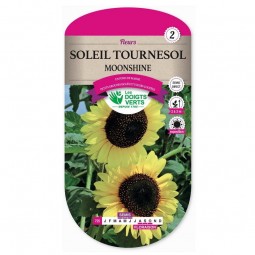 Sachet de graines Tournesol soleil moonshine - Les Doigts Verts