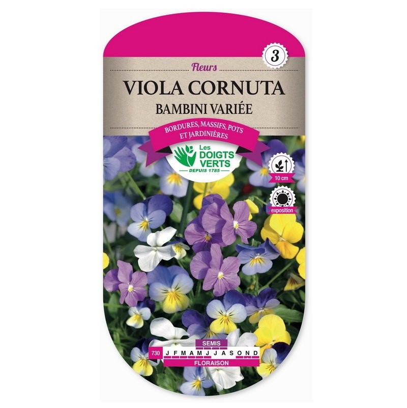 Viola cornuta bambini Variée, Les Doigts Verts
