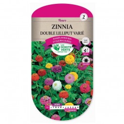 Semis Zinnia double lilliput varié - Les Doigts Verts