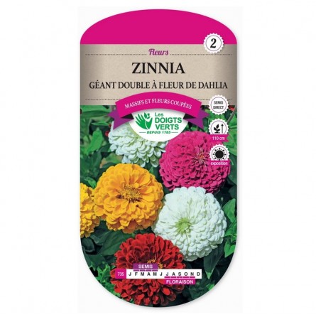 Sachet de graines Zinnia géant double à fleur de Dahlia - Les Doigts Verts