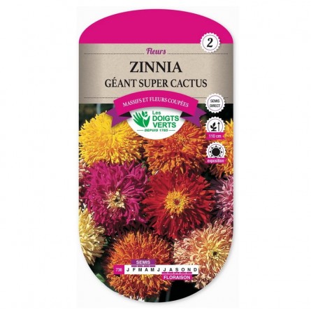 Semis Zinnia géant super cactus - Les Doigts Verts