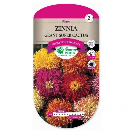 Semis Zinnia géant super cactus - Les Doigts Verts