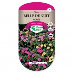 Sachet de graines Belle de nuit variée - Les Doigts Verts