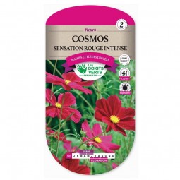 Sachet de graines cosmos sensation rouge intense - Les doigts verts