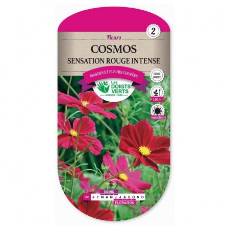 Cosmos sensation rouge intense , Les Doigts Verts - Jardinerie Latour