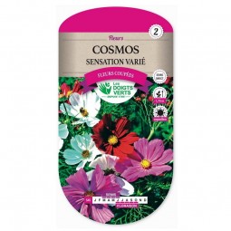 Sachet de graines Cosmos sensation varié - Les Doigts Verts