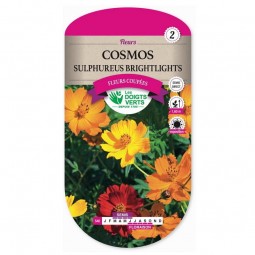 Sachet de graines Cosmos sulfureus brightlights - Les Doigts Verts