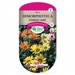 Sachet de graines Dimorphoteca hybride varié - Les Doigts Verts