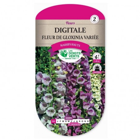 Sachet de graines Digitale fleur de gloxinia variée - Les Doigts Verts
