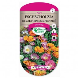 Sachet de graines Eschscholtzia Californie simple varié - Les Doigts Verts