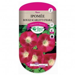 Sachet de graines Ipomée rouge Scarlett O'hara - Les Doigts Verts